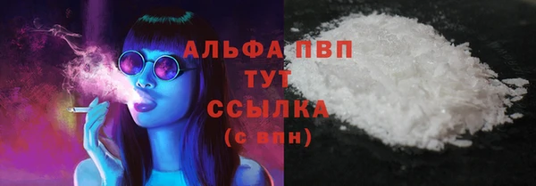крисы Алзамай