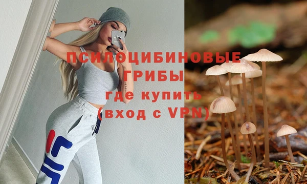 PSILOCYBIN Абдулино