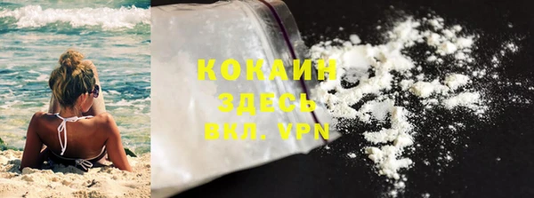 крисы Алзамай