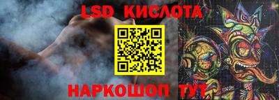 спайс Гай