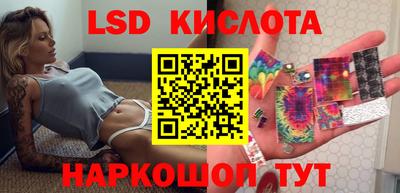 спайс Гай