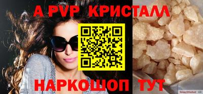 спайс Гай