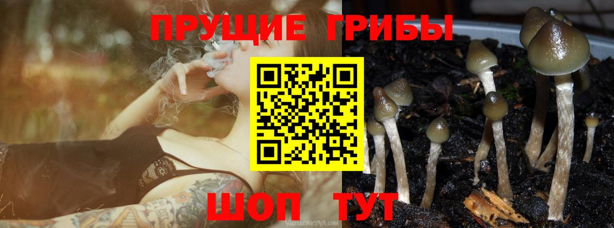 Псилоцибиновые грибы ЛСД Назрань
