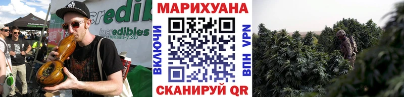 Канабис VHQ купить наркотики цена Назрань